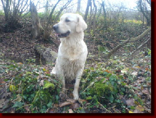danny_lou005004.jpg