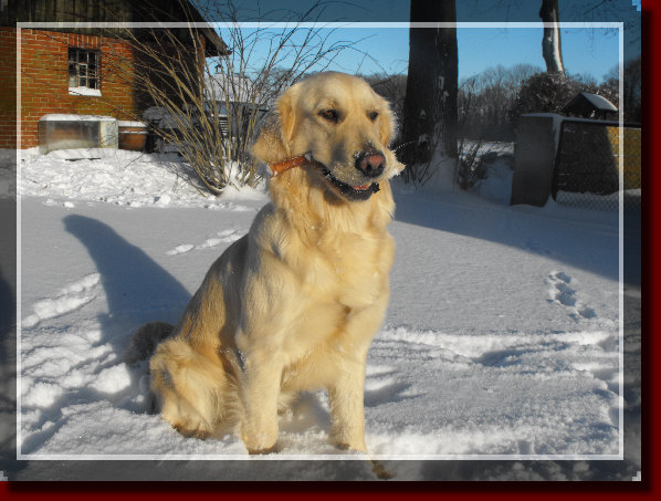danny_lou039006.jpg