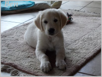 danny_lou_001001008.jpg