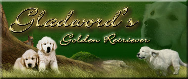 gladword-banner2.jpg
